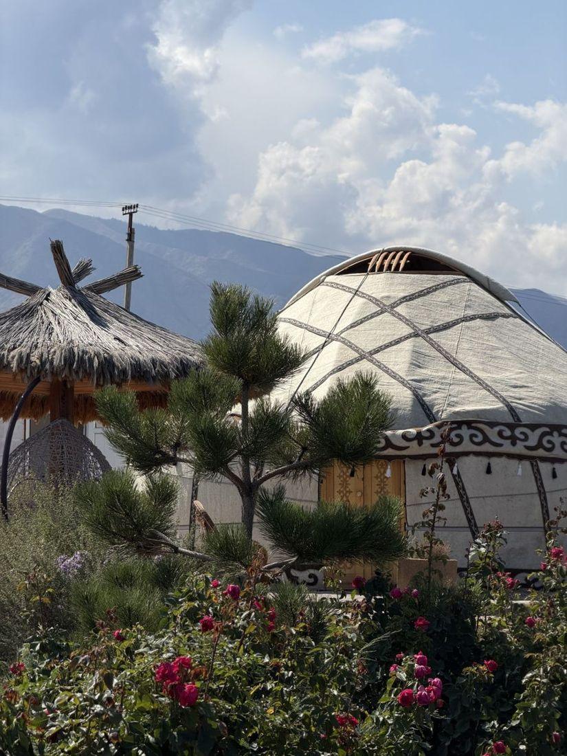 Yurts among the pines