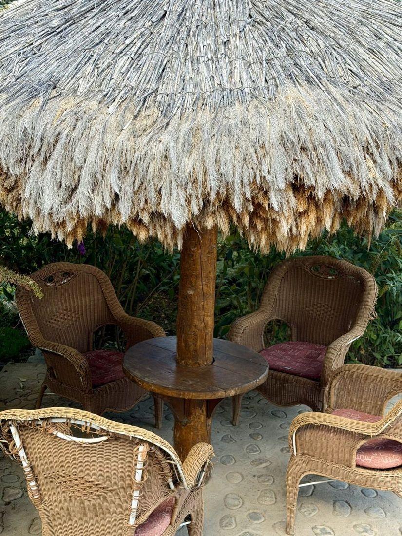 Chairs under a reed parasol
