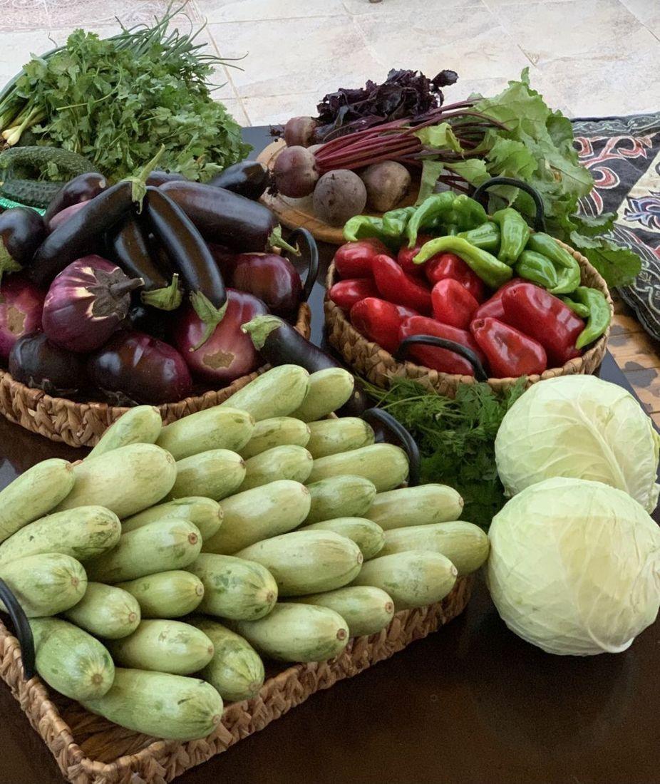 Vegetables from the garden