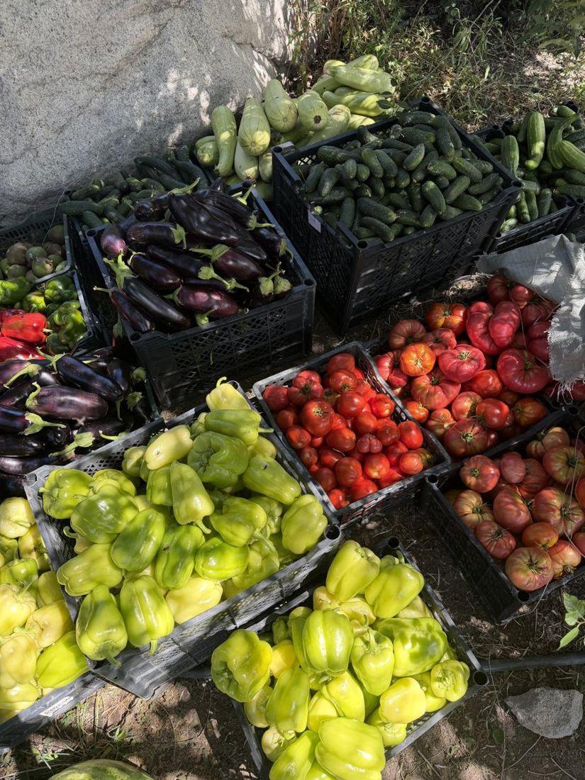 Crates of produce