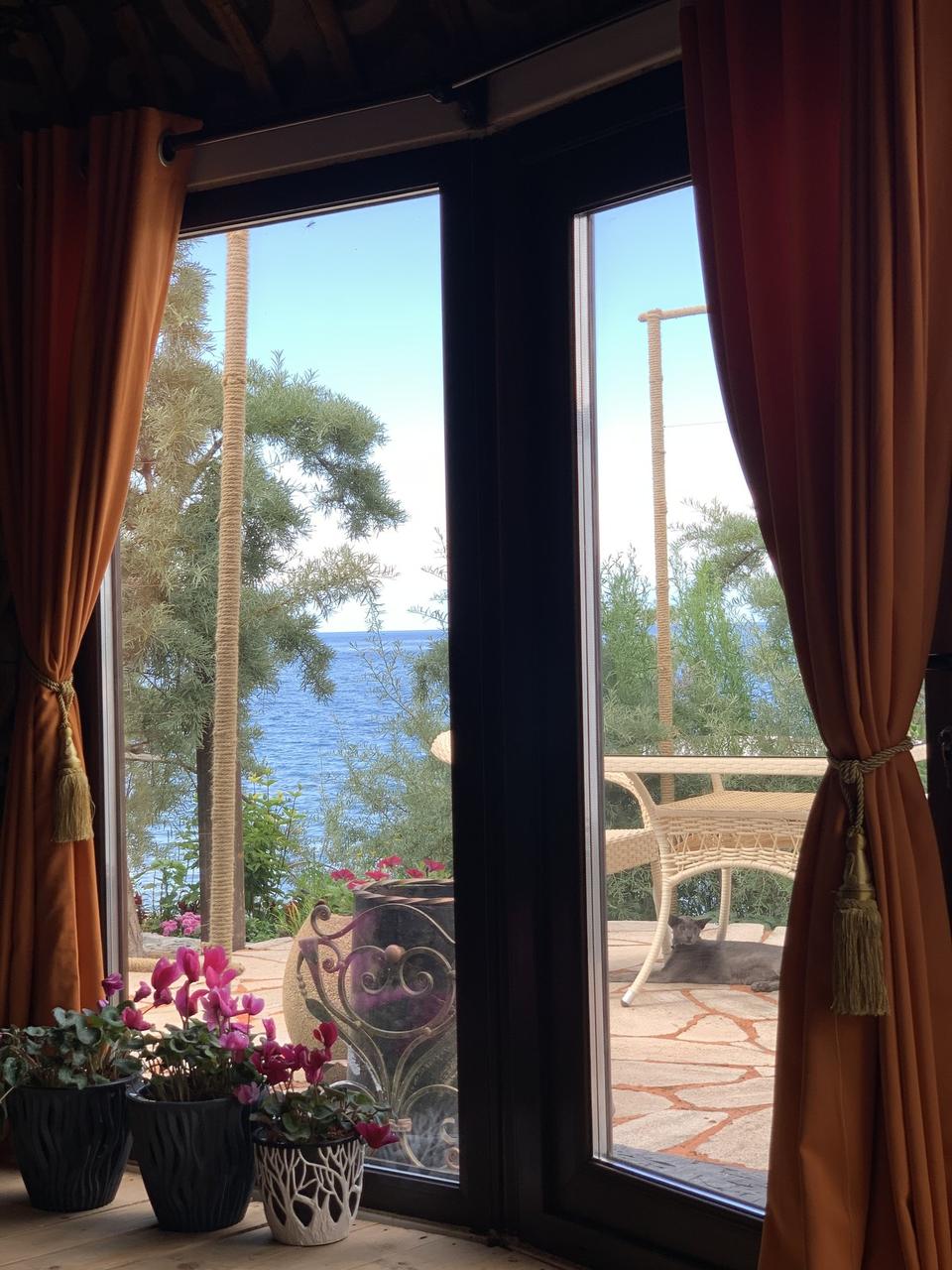 Lake view from the window